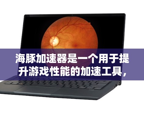 海豚加速器是一个用于提升游戏性能的加速工具,通常会提供多种功能和选项,包括下载加速器、使用加速器、选择下载方式等。关于掉宝免费的问题,具体含义取决于加速器的设计和功能 海豚加速器是一个用于提升游戏性能的加速工具,通常会提供多种功能和选项,包括下载加速器、使用加速器、选择下载方式等。关于掉宝免费的问题,具体含义取决于加速器的设计和功能