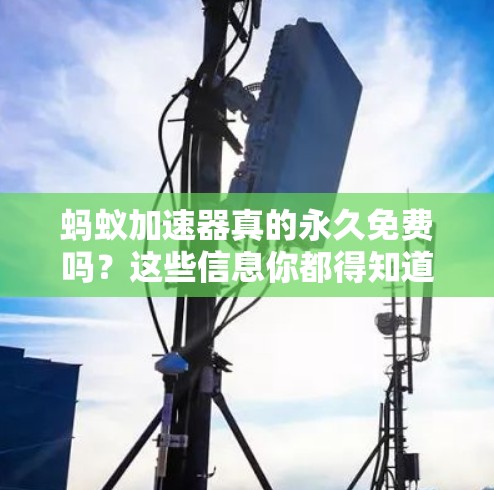 蚂蚁加速器真的永久免费吗?这些信息你都得知道