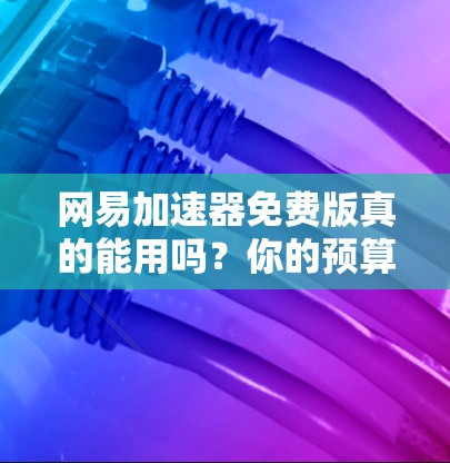 网易加速器免费版真的能用吗?你的预算会影响功能选择 网易加速器免费版真的能用吗?你的预算会影响功能选择