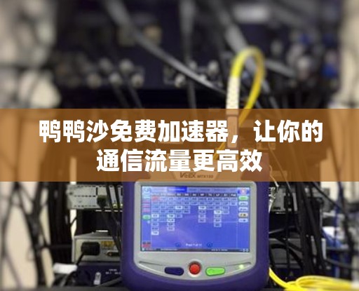鸭鸭沙免费加速器，让你的通信流量更高效