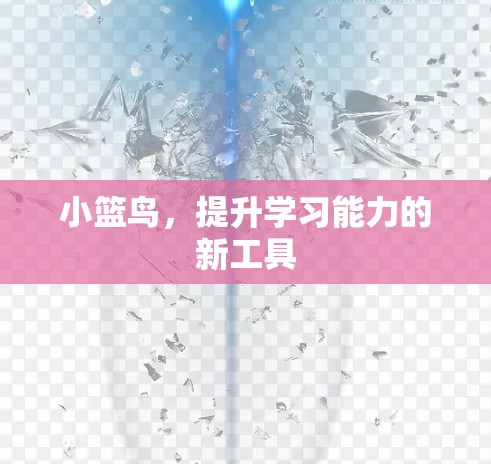小篮鸟,提升学习能力的新工具
