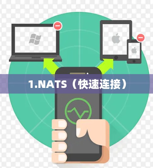 1.NATS(快速连接)