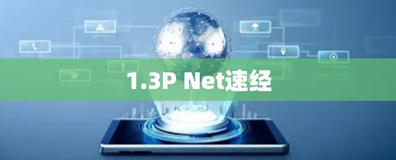 1.3P Net速经