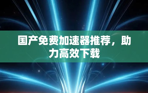 国产免费加速器推荐，助力高效下载