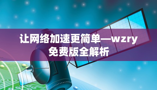 让网络加速更简单—wzry免费版全解析