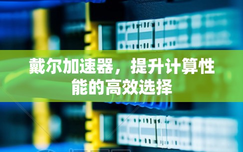 戴尔加速器,提升计算性能的高效选择