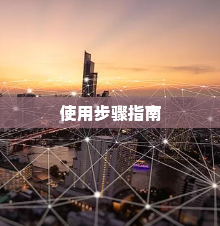 使用步骤指南 使用步骤指南