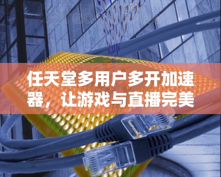 任天堂多用户多开加速器,让游戏与直播完美同步 任天堂多用户多开加速器,让游戏与直播完美同步