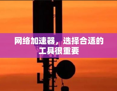 网络加速器,选择合适的工具很重要 网络加速器,选择合适的工具很重要