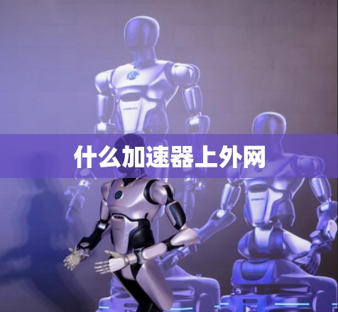 什么加速器上外网