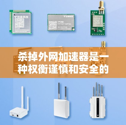 杀掉外网加速器是一种权衡谨慎和安全的选择，但需要权衡个人需求、网络安全和长期安全规划。以下是详细的分析和建议