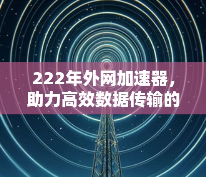 222年外网加速器，助力高效数据传输的新型解决方案