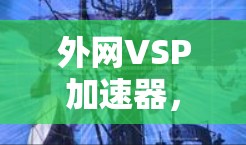 外网VSP加速器，提升通信性能的高效解决方案
