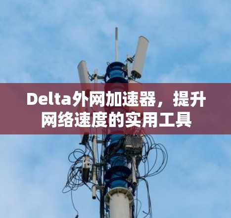 Delta外网加速器，提升网络速度的实用工具