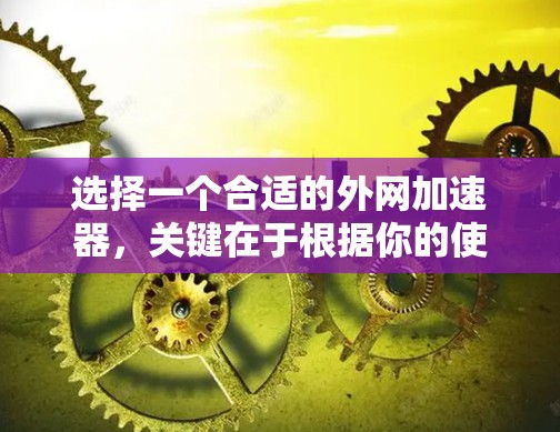 选择一个合适的外网加速器，关键在于根据你的使用习惯、缓存管理需求以及工具的更新和社区支持来做出选择。以下是一个分步的建议