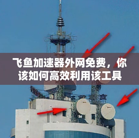飞鱼加速器外网免费，你该如何高效利用该工具？