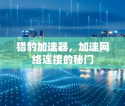 猎豹加速器，加速网络连接的秘门