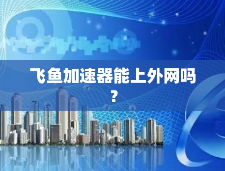 飞鱼加速器能上外网吗？