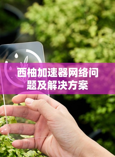 西柚加速器网络问题及解决方案