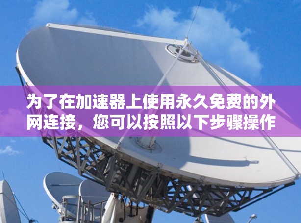 为了在加速器上使用永久免费的外网连接，您可以按照以下步骤操作