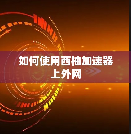 如何使用西柚加速器上外网 如何使用西柚加速器上外网