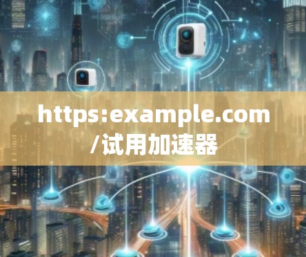 https:example.com/试用加速器