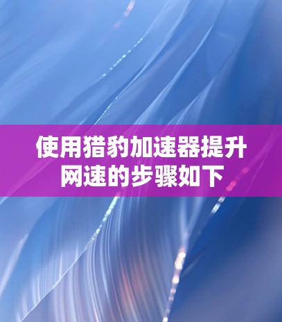 使用猎豹加速器提升网速的步骤如下