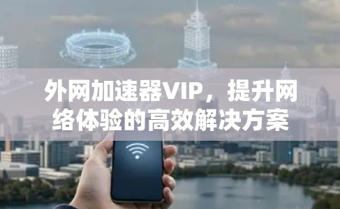 外网加速器VIP,提升网络体验的高效解决方案 外网加速器VIP,提升网络体验的高效解决方案