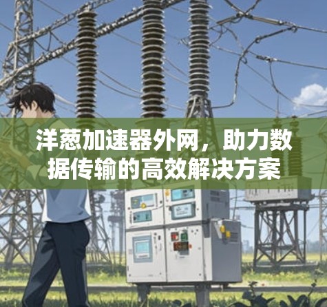 洋葱加速器外网，助力数据传输的高效解决方案