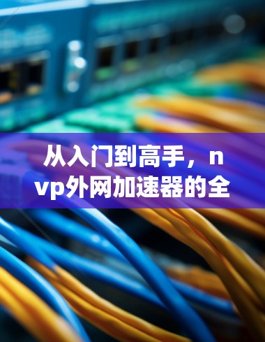 从入门到高手，nvp外网加速器的全攻略
