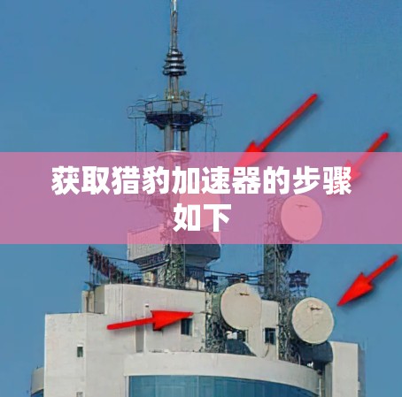 获取猎豹加速器的步骤如下 获取猎豹加速器的步骤如下