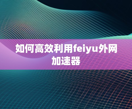 如何高效利用feiyu外网加速器