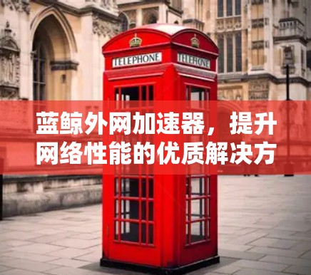 蓝鲸外网加速器，提升网络性能的优质解决方案