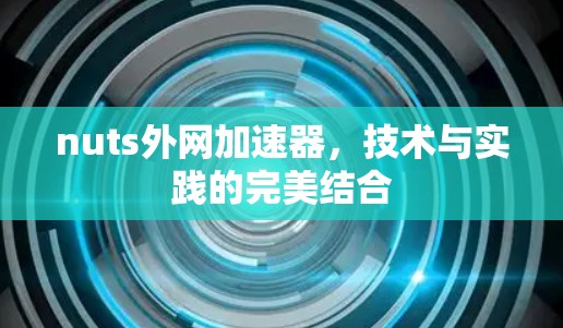nuts外网加速器,技术与实践的完美结合 nuts外网加速器,技术与实践的完美结合