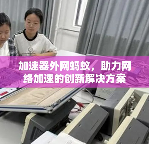 加速器外网蚂蚁,助力网络加速的创新解决方案 加速器外网蚂蚁,助力网络加速的创新解决方案