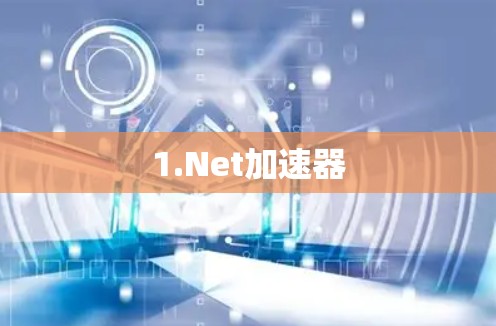 1.Net加速器 1.Net加速器