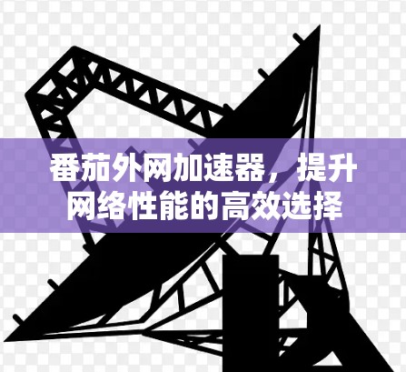 番茄外网加速器,提升网络性能的高效选择 番茄外网加速器,提升网络性能的高效选择
