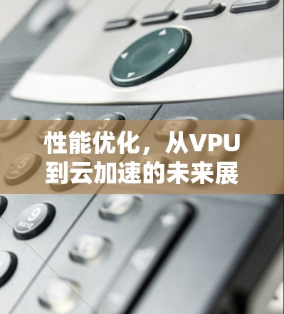 性能优化,从VPU到云加速的未来展望 性能优化,从VPU到云加速的未来展望