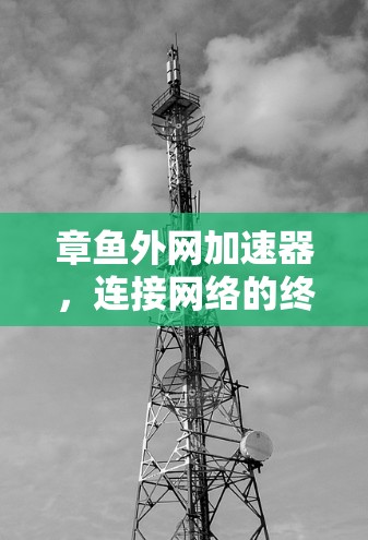 章鱼外网加速器,连接网络的终极工具 章鱼外网加速器,连接网络的终极工具