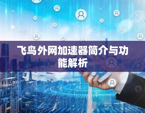 飞鸟外网加速器简介与功能解析 飞鸟外网加速器简介与功能解析