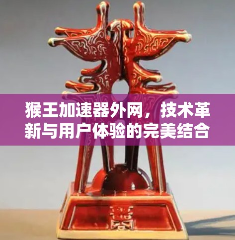 猴王加速器外网,技术革新与用户体验的完美结合 猴王加速器外网,技术革新与用户体验的完美结合