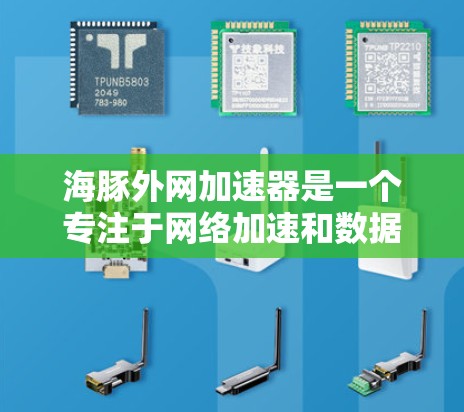 海豚外网加速器是一个专注于网络加速和数据下载解决方案的公司，主要面向国内和国际用户。以下是关于海豚外网加速器的详细信息