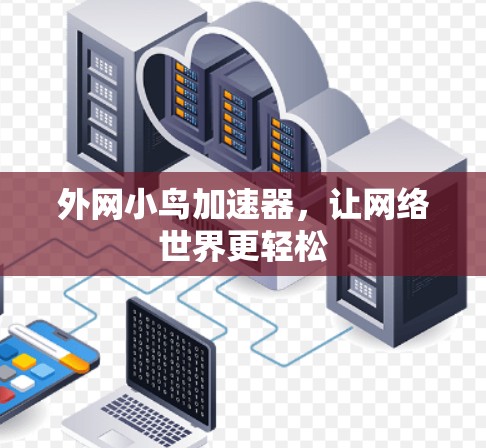 外网小鸟加速器，让网络世界更轻松