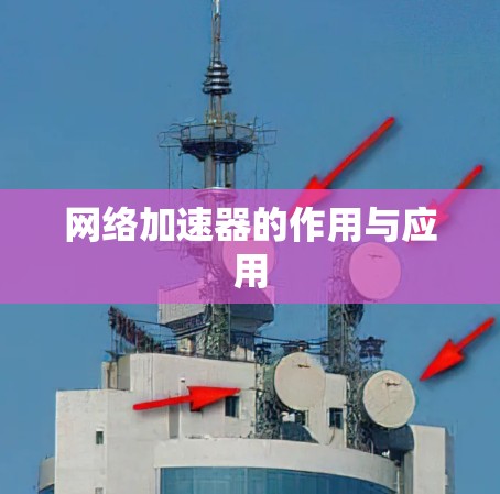 网络加速器的作用与应用 网络加速器的作用与应用