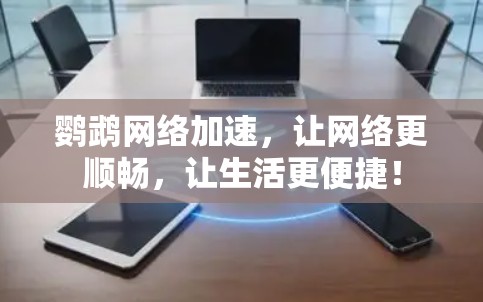 鹦鹉网络加速，让网络更顺畅，让生活更便捷！