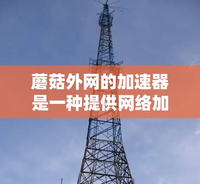 蘑菇外网的加速器是一种提供网络加速服务的工具，旨在帮助用户更快地访问互联网。以下是一些关键信息和功能