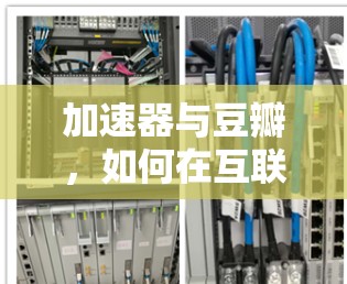 加速器与豆瓣,如何在互联网中高效分享与交流 加速器与豆瓣,如何在互联网中高效分享与交流
