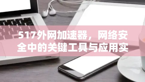 517外网加速器,网络安全中的关键工具与应用实践 517外网加速器,网络安全中的关键工具与应用实践