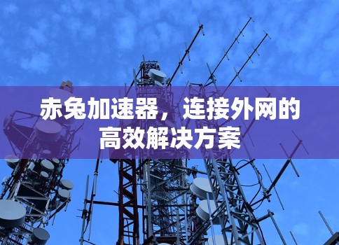 赤兔加速器,连接外网的高效解决方案 赤兔加速器,连接外网的高效解决方案