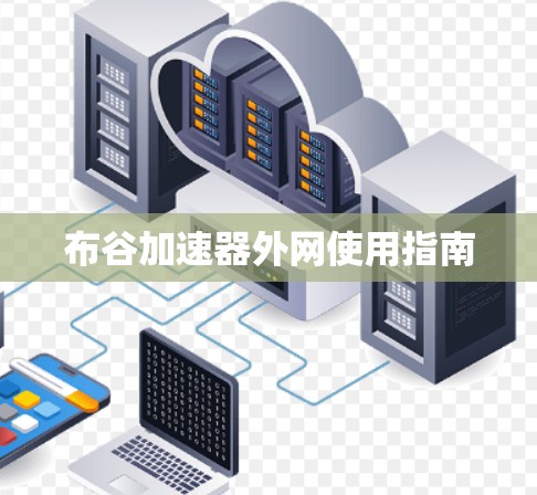 布谷加速器外网使用指南